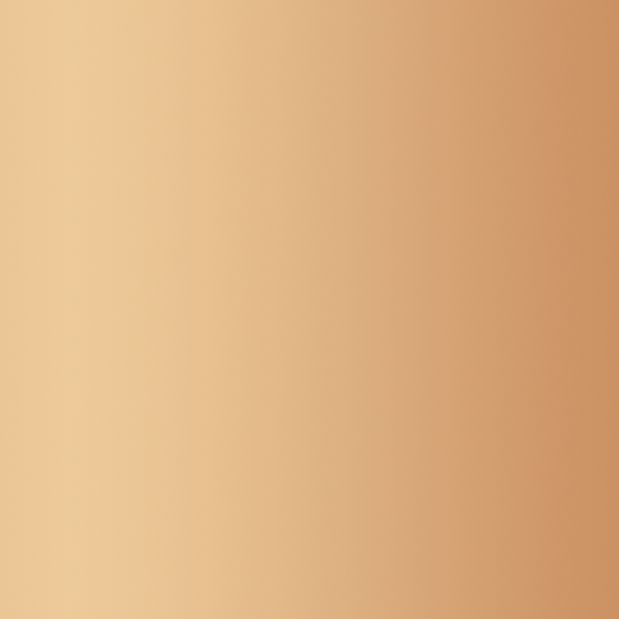 Premium Holiday Gift Wrapping Service with Satin Ribbon