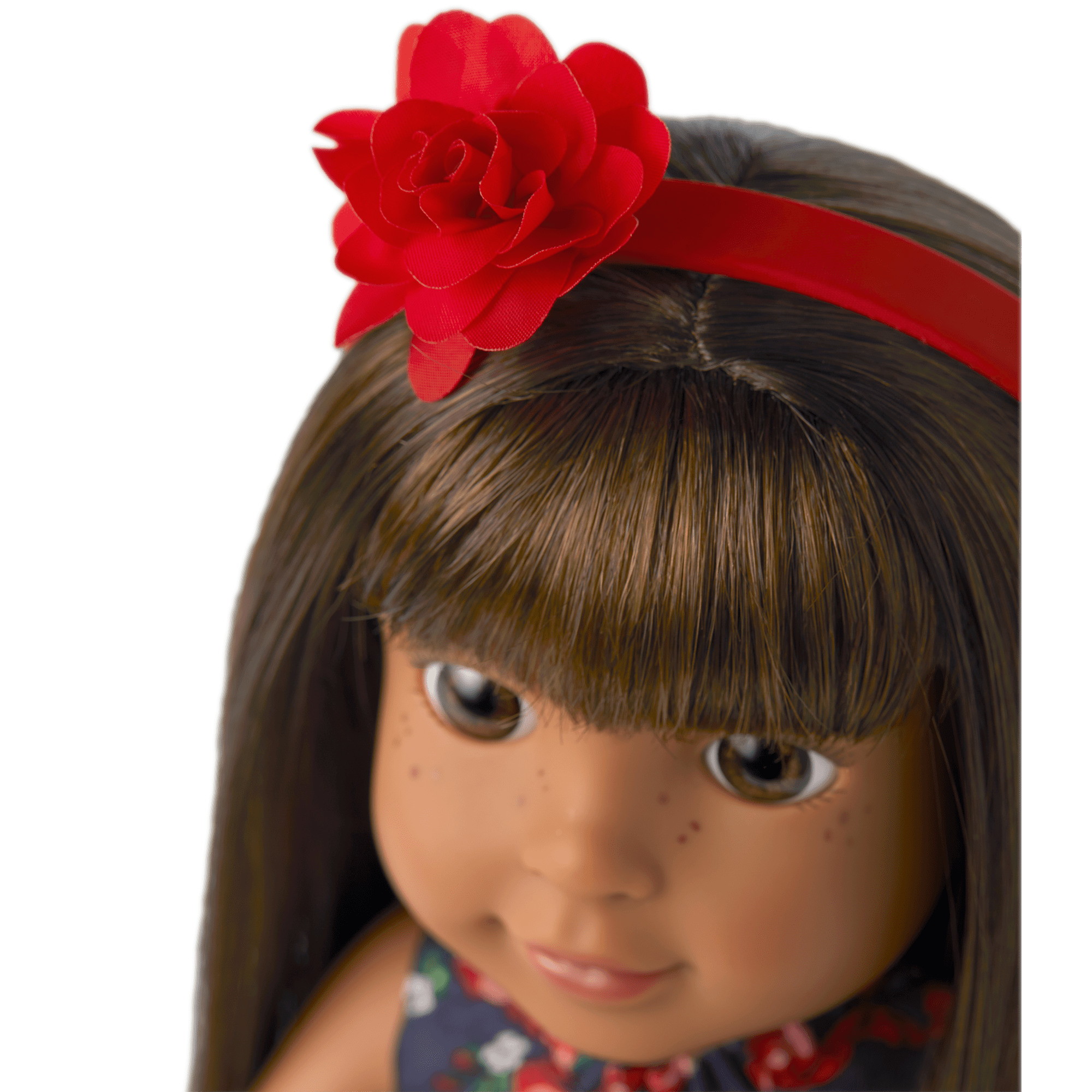 American Girl WellieWishers Floral Party Dress with Ballet Flats