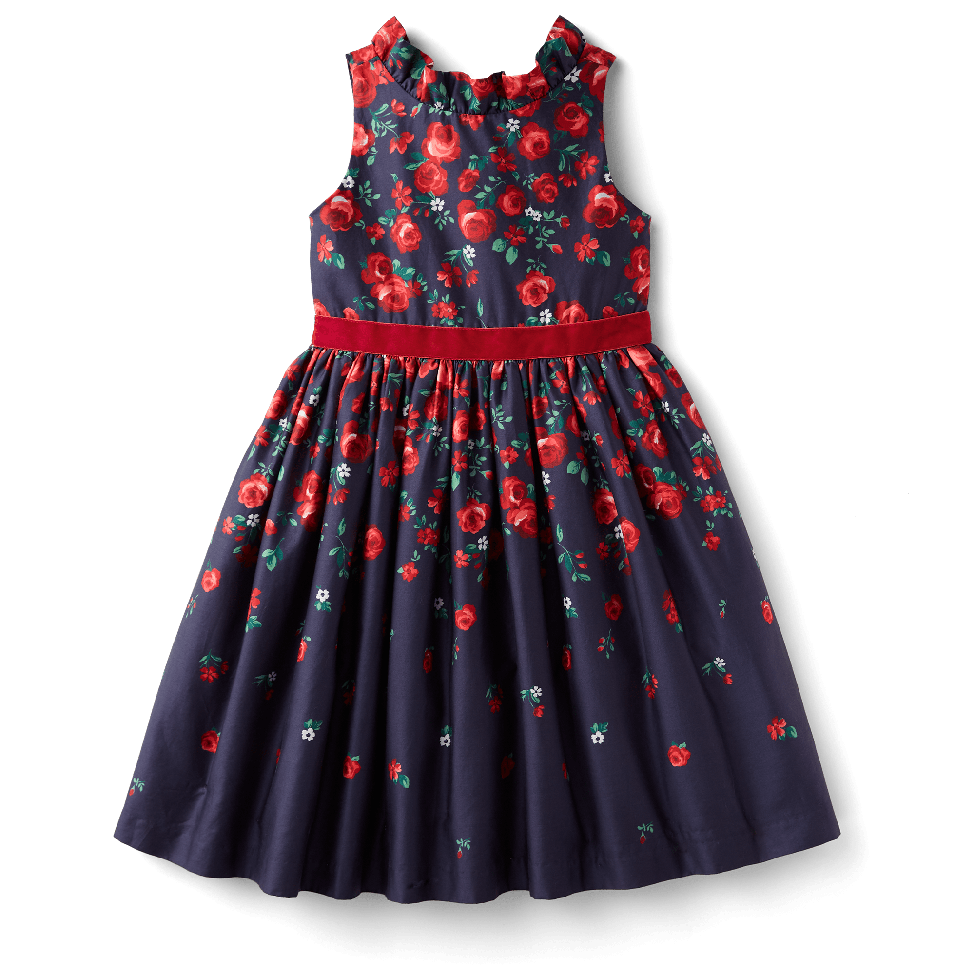 Janie and Jack Floral Party Dress for Girls - Rose Print & Ruffled Collar