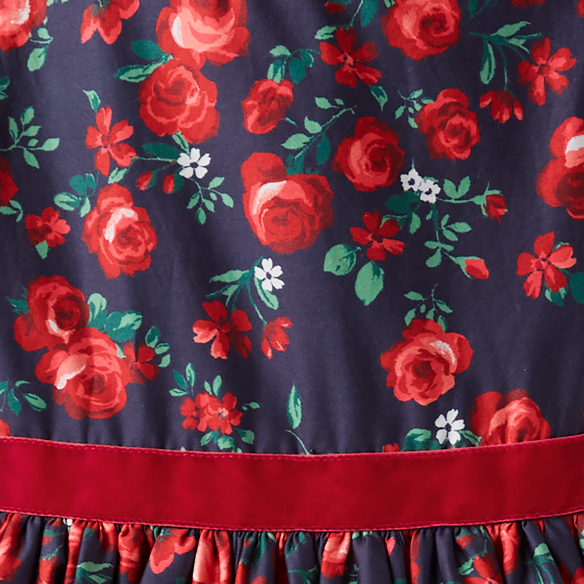 Janie and Jack Floral Party Dress for Girls - Rose Print & Ruffled Collar