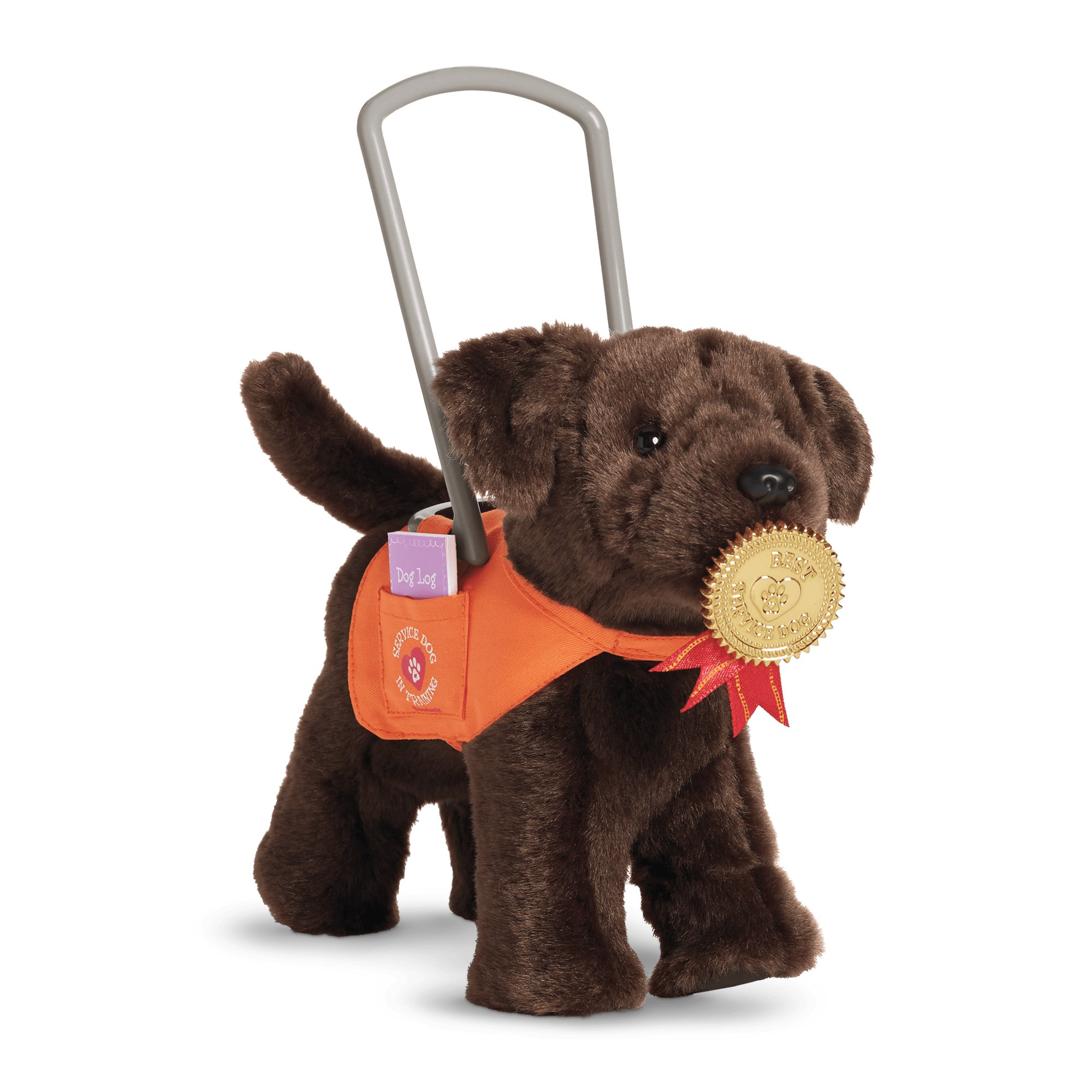 Service Dog Vest with Handle & Training Medal for Pets